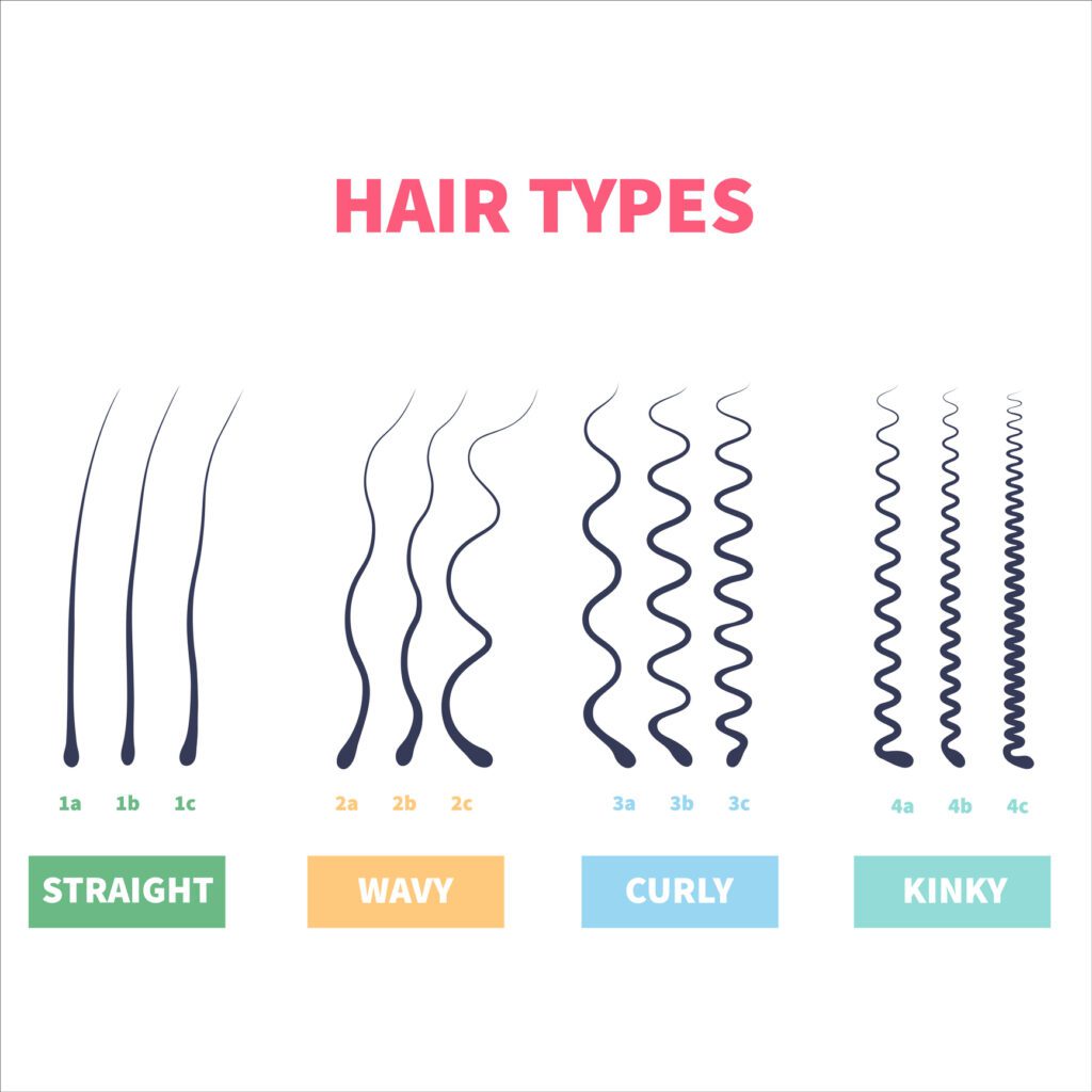 Hair Texture Porosity Density  Hair Biology